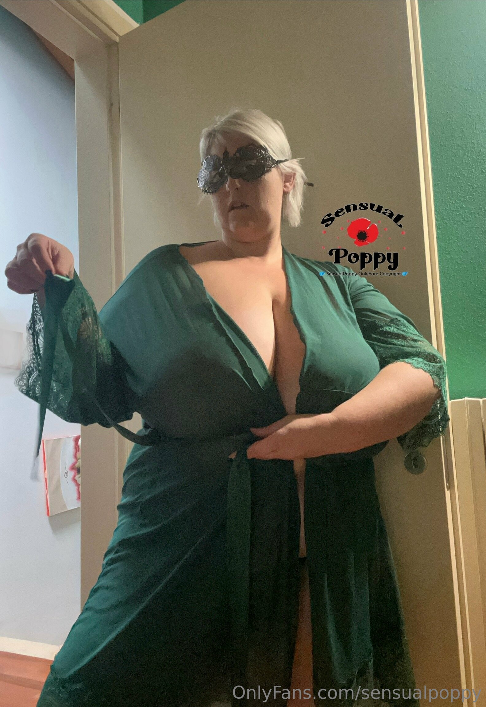 https://coomer.su/onlyfans/user/sensualpoppy/post/781530720